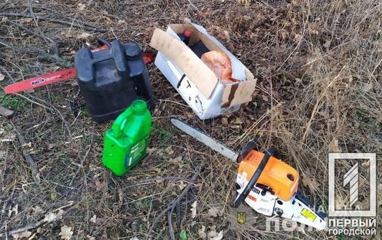 Под Кривым Рогом полицейские «на горячем» поймали четырёх «чёрных лесорубов»