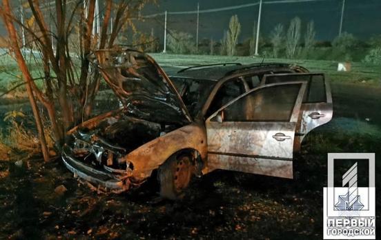 Врезался в дерево и пытался сбежать: в Кривом Роге сгорела иномарка из-за нетрезвого водителя