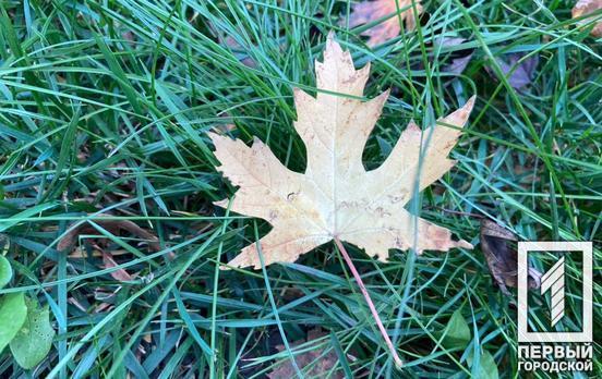 17 ноября в Кривом Роге будет пасмурно