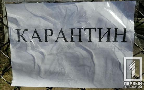 Полиция Кривого Рога за выходные выявила 114 случаев нарушения карантина