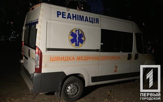 В 100 километрах от Кривого Рога двухлетний ребенок отравился листьями денежного дерева