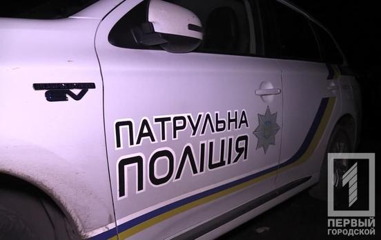 В Кривом Роге патрульные помешали «охотнице» за металлом вывезти лавки и стол с кладбища