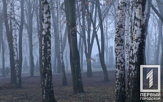 29 ноября в Кривом Роге будет пасмурный день и дождливый вечер