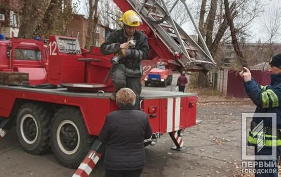 «Всю ночь мяукал»: спасатели Кривого Рога сняли кота с высокого дерева