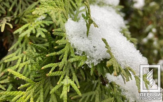 15 февраля в Кривом Роге будет переменная облачность