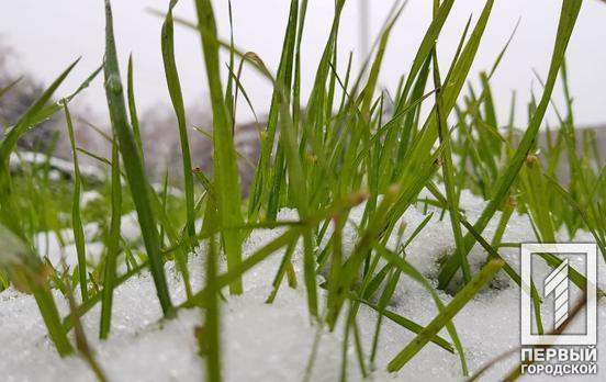 4 декабря в Кривом Роге будет пасмурно