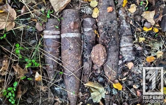 Недалеко от Кривого Рога обнаружили устаревшие боеприпасы