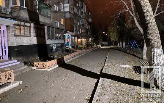 В Кривом Роге парень пытался совершить суицид, наглотавшись таблеток