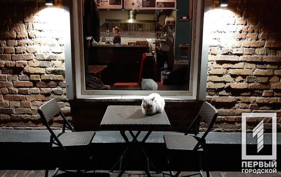 Никаких праздничных банкетов: Кабмин расширил список карантинных ограничений