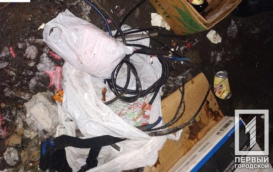 Любитель лёгкой наживы: в Кривом Роге мужчина вырезал кабельные провода