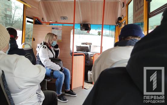 Жительница Кривого Рога выступила с предложением вернуть маршрут 291