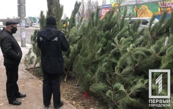 Полицейские в Кривом Роге обнаружили места незаконной продажи ёлок и составили два протокола