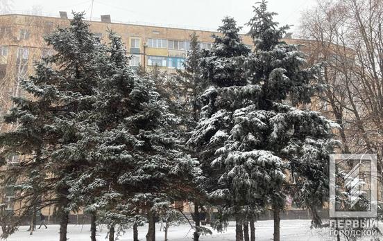 29 января в Кривом Роге пройдёт небольшой снег