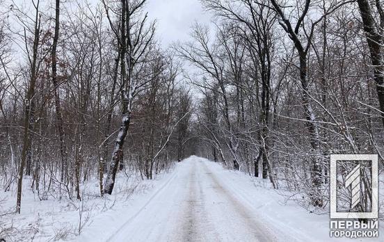 19 января в Кривом Роге не будет осадков