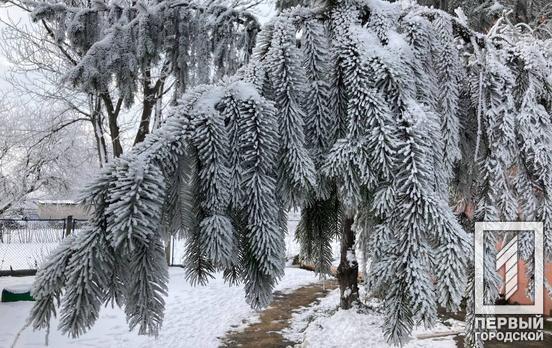 18 января в Кривом Роге будет пасмурно
