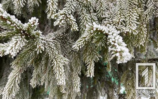 13 февраля в Кривом Роге будет морозный и снежный день