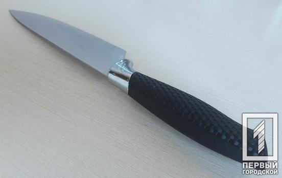 Мужчину из Кривого Рога будут судить за убийство 17-летнего подростка