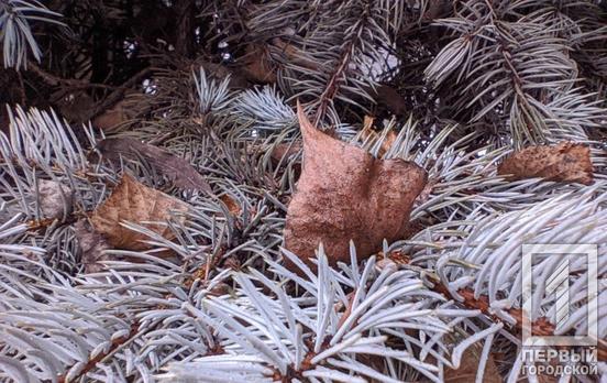 14 февраля в Кривом Роге из-за туч выйдет солнце