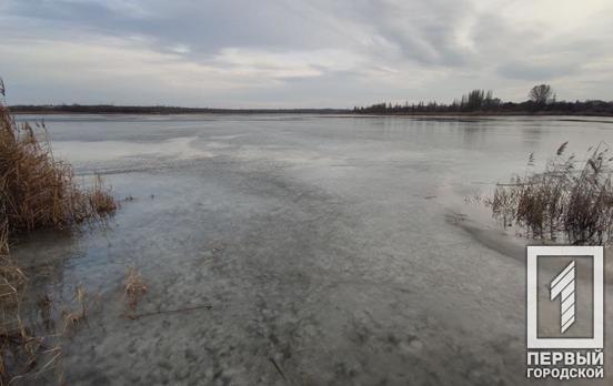 28 января в Кривом Роге будет дождь со снегом