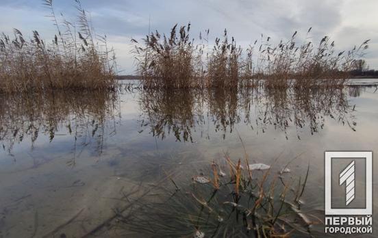 7 февраля в Кривом Роге вечером может пойти снег