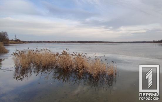25 января в Кривом Роге вечером пойдёт дождь