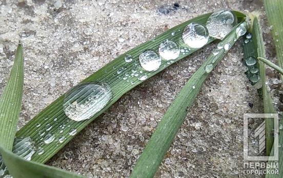 26 февраля в Кривом Роге будет тепло и солнечно