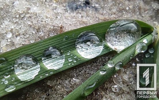 1 февраля в Кривой Рог придёт потепление