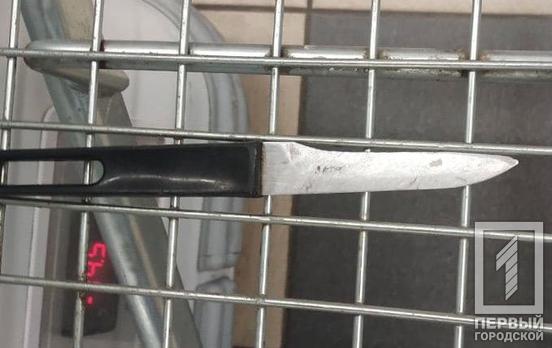Бросался с ножом на людей: в Кривом Роге инспекторы патрульной полиции задержали дебошира
