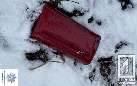 В Кривом Роге патрульные инспекторы задержали вероятного грабителя