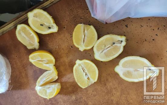 Витамин C с амфетамином: в исправительную колонию Кривого Рога пытались передать лимоны с наркотиками