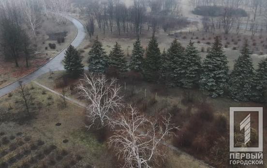 27 февраля в Кривом Роге пройдёт небольшой дождь