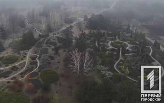 6 февраля в Кривом Роге будет пасмурно