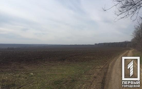 Прокуратура Кривого Рога требует от фермерского хозяйства освободить земельные участки стоимостью более 70 млн грн