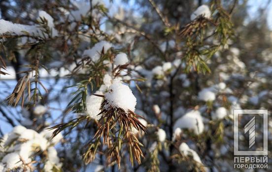 6 марта в Кривом Роге будет переменная облачность