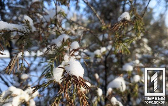 Скільки вихідних будуть мати українці в грудні 2021 року