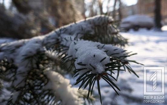 18 февраля в Кривом Роге будет идти снег