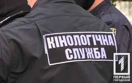 В Кривом Роге неизвестный «заминировал» дом родителей Президента