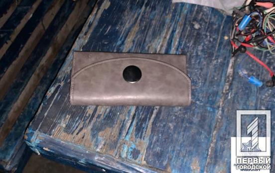 Патрульные Кривого Рога нашли у горожанина украденный женский кошелёк