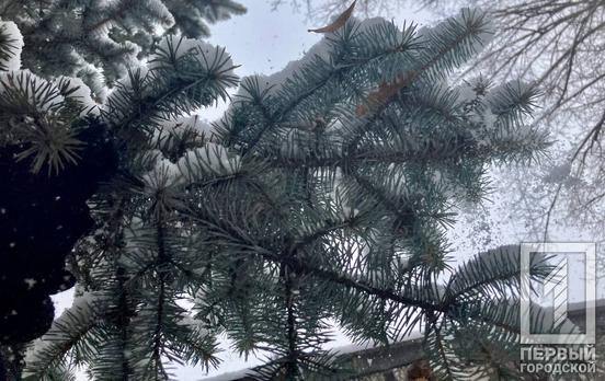 19 февраля в Кривом Роге будет ясная погода