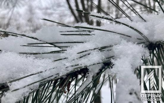 25 марта в Кривом Роге будет идти мокрый снег