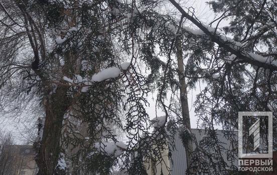 22 февраля в Кривом Роге будет переменная облачность