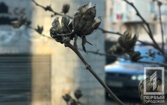 3 марта в Кривом Роге солнце выйдет из-за туч