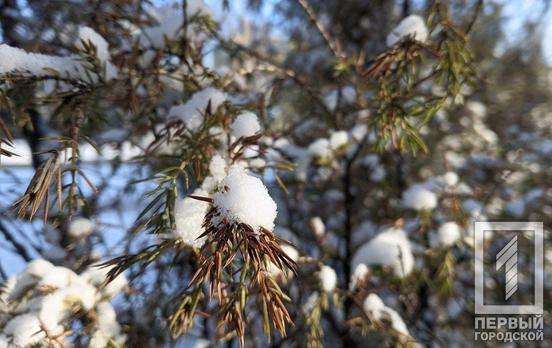 12 марта в Кривом Роге после потепления ожидается снег