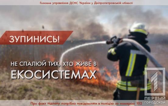 За прошедшие сутки в Кривом Роге спасатели шесть раз тушили возгорание камышей