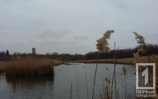 29 марта в Кривом Роге будет дождливый день