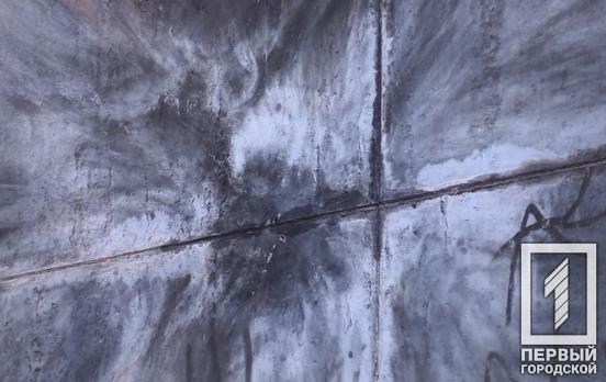 Национальный музей Голодомора обратился к представителям центральной власти с призывом расследовать акт вандализма в Кривом Роге