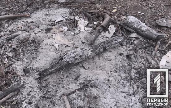 Сжечь нельзя, компостировать: в Кривом Роге во время рейда нашли нарушителей, которые неправильно утилизировали опавшие листья и спиленные ветки