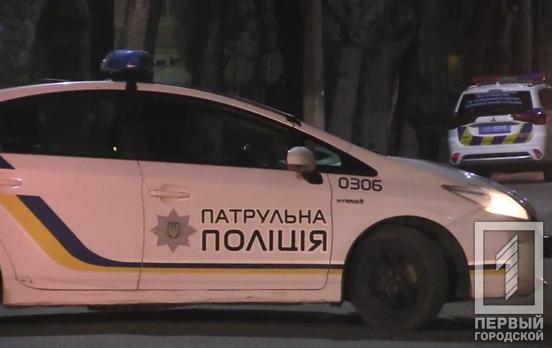 Забрал телефон и деньги: в Кривом Роге полицейские задержали 20-летнего парня, который напал на прохожего