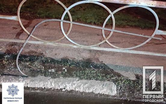 Ночью в Кривом Роге местный житель пытался похитить арматуру из бордюра