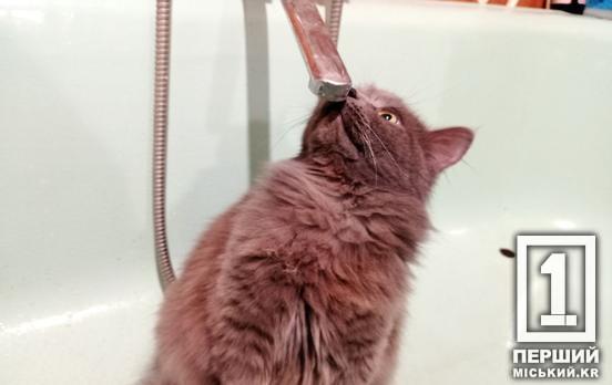 Нехай новорічні дні будуть позбавлені турбот: «Кривбасводоканал» нагадує вчасно передати показники